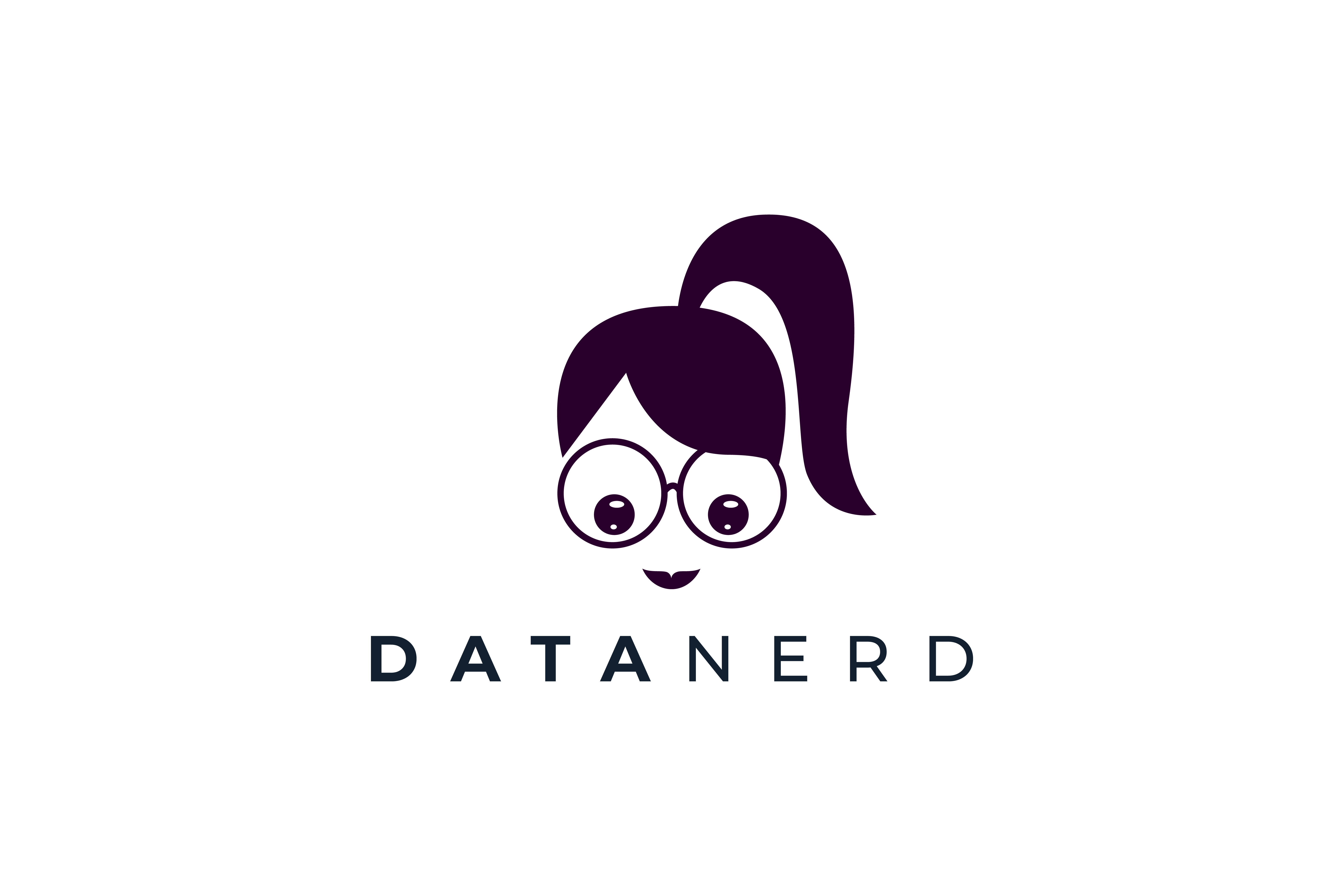 Datanerd Logo